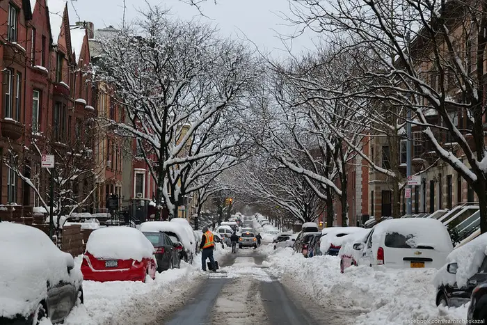 a Brooklyn street the morning after a snowstorm